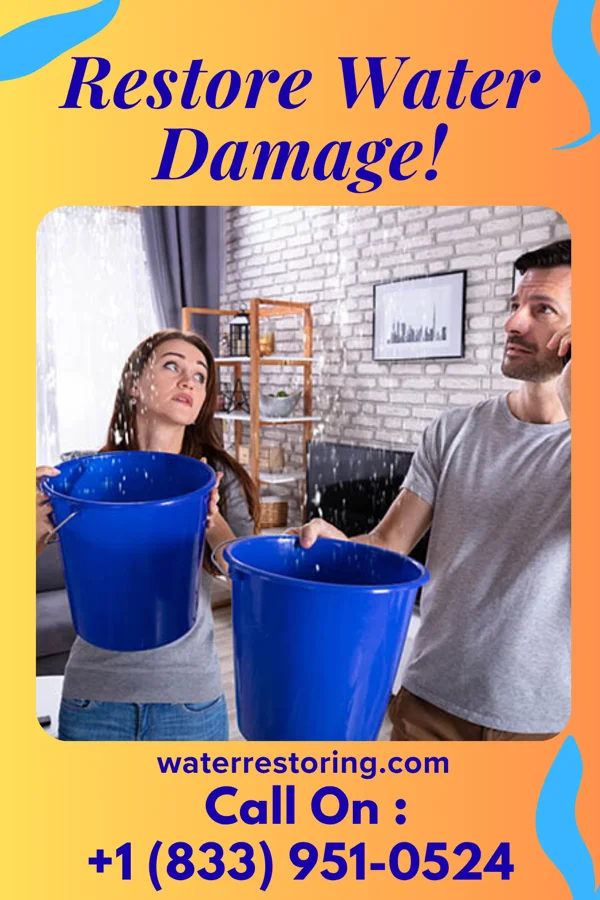 water restoration Prestige Damage Recovery Co Thompsonville