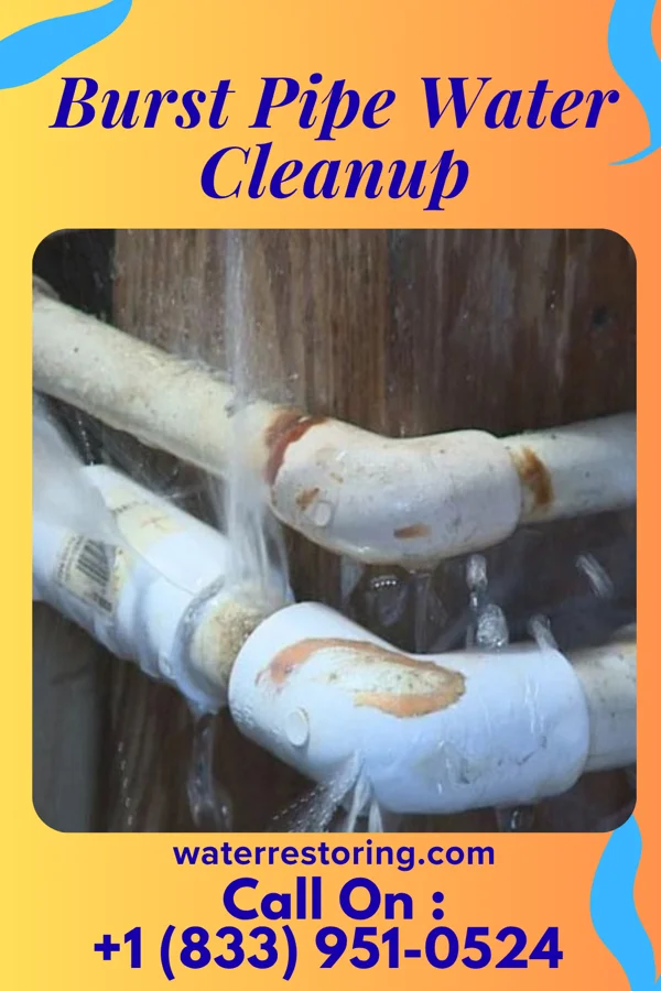 Burst Pipe Water Cleanup in Thompsonville, MI